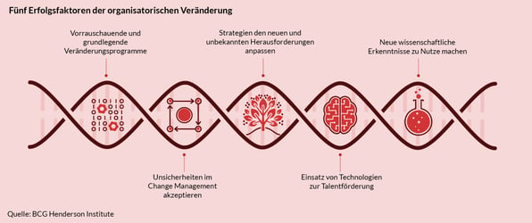 Fünf Erfolgsfaktoren